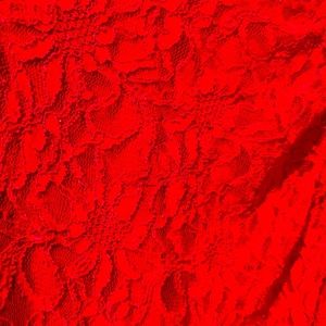 Gorgeous Ralph Lauren Red Lace Dress